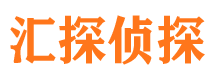 丰满侦探公司